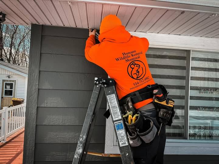 Technician sealing a soffit from a ladder